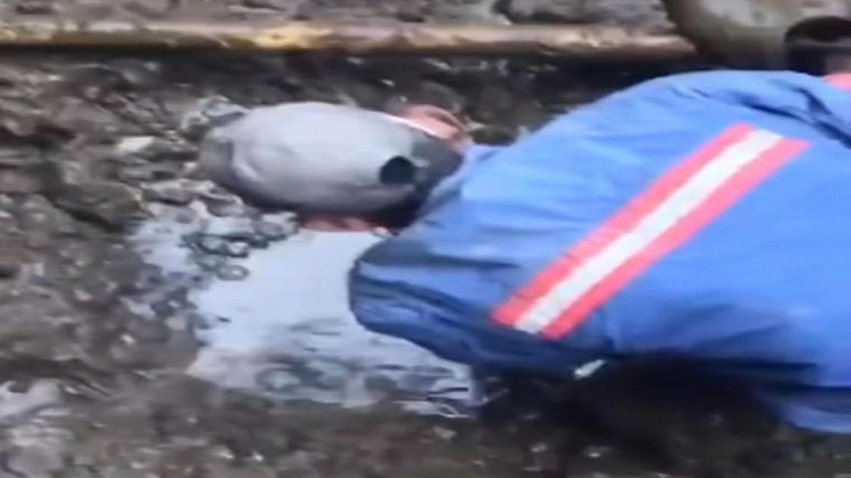 Muncul Mata Air di Makam Mendiang Eril [Instagram]