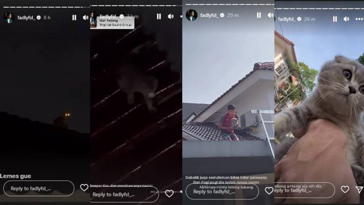 Sosok Kesayangan Baru Fadly Faisal [Instagram/@fadlyfsl_]