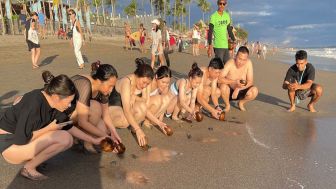 Wujud Tanggung Jawab Lingkungan dan Edukasi Wisatawan di Bali, Atlas Beach Fest Lepas 2 Ribu Tukik Tiap Pekan