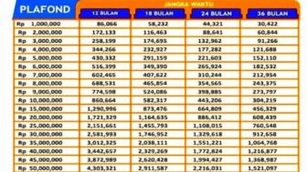 Jujur ke Mantri, Tips Pinjaman KUR BRI 2022 Terbaru Bisa Disetujui hingga Rp50 Juta