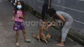 11 Warga Buleleng Meninggal karena Rabies, Gigitan Kecil sehingga Tak Diberi VAR