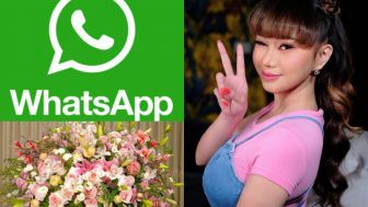 Bisnis Bunga Denise Chariesta Rugi Banyak? Ini Efek WhatsApp Error!