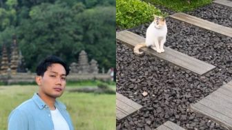 Sosok Kucing Penunggu Makam Emmeril Khan, Selalu Ada Saat Ridwan Kamil Ziarah