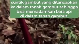 Mengenal Karakteristik Lahan Gambut di Indonesia