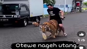 Viral! Penunggang Harimau Asal Indonesia