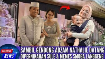 CEK FAKTA: Hari Ini Sambil Gendong Adzam Nathalie Holscher Hadiri Pernikahan Sule dan Memes?