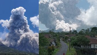 Gunung Merapi Muntahkan Awan Panas, Berikut Daftar Wilayah yang Terdampak Abu Vulkanik