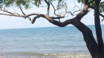 Pantai Banongan Situbondo,Wisata Bahari Sekaligus Tempat Latihan Marinir yang Menantang