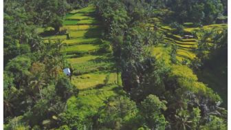 Hidden Gem di Bali: 10 Tempat Menakjubkan dan Jarang Diketahui Orang