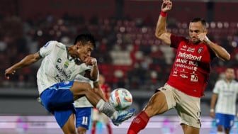 Tidak Ada Nama Pemain Bali United di Skuad Timnas Indonesia, Stefano Cugurra Bicara Soal Selera Pelatih