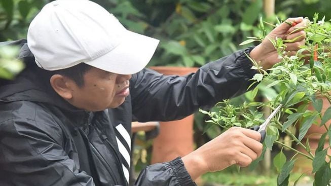 Domba Hasil Jual Cincin Penyelamat Keluarga Kang Dedi dari Keterpurukan