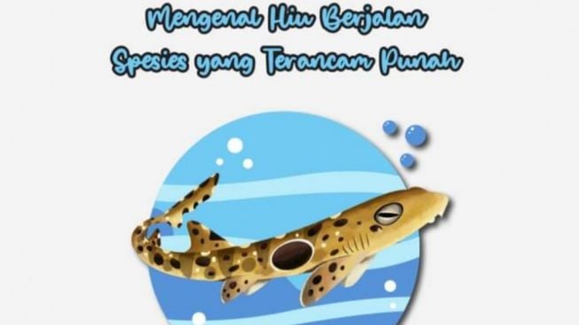 Mengenal Hiu Berjalan, Spesies yang Terancam Punah