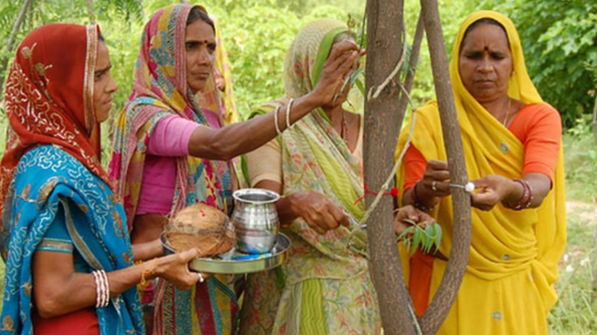Unik, Desa di India Memiliki Tradisi Menanam Pohon untuk Merayakan Kelahiran Bayi