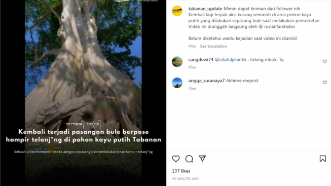 Breaking News! Bule Selfie Nyaris Bugil Kembali Terjadi di Pohon Kayu Putih Tabanan