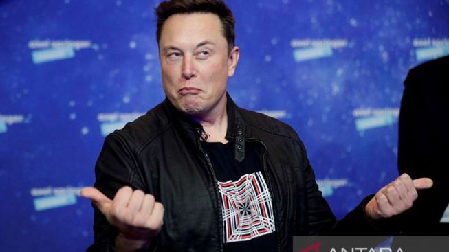 Elon Musk Ikut Resah, Gercep Rekrut Tim Bikin Saingan ChatGPT