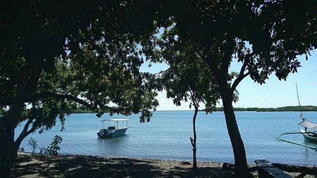 Pantai Bilik, Pesona Tersembunyi di Kawasan Baluran Situbondo