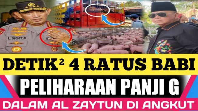 CEK FAKTA: Publik Terkejut! 400 Babi Hutan Peliharaan Panji Gumilang di Komplek Al Zaytun Diamankan