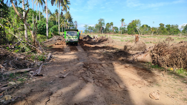 Kenken Ne Pak Yan Koster? Kebun Kelapa Perusda Dibabat Jadi Tambak