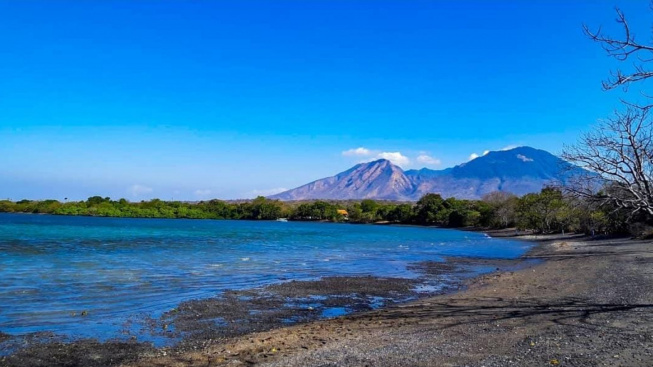 Masih Perawan! Tak Disangka Situbondo Punya Pantai Tersembunyi yang Jarang Terjamah, Harus Masuk Hutan Baluran