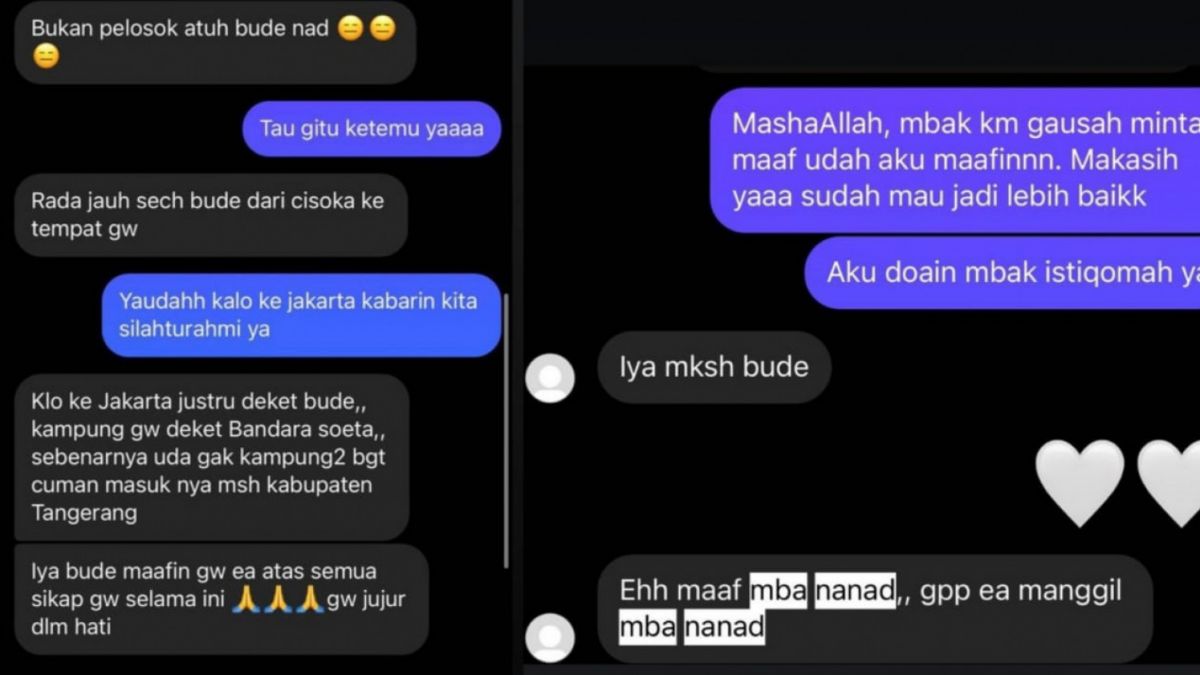 Percakapan Nadya dengan netizen yang sempat menghujatnya [Tangkap layar Instastory Nadya Arifta]