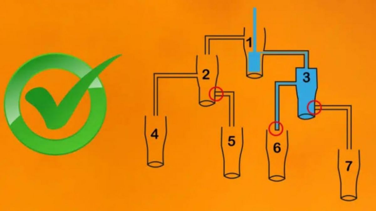 Ilustrasi tes IQ dan Visual [Legrisou.fr]