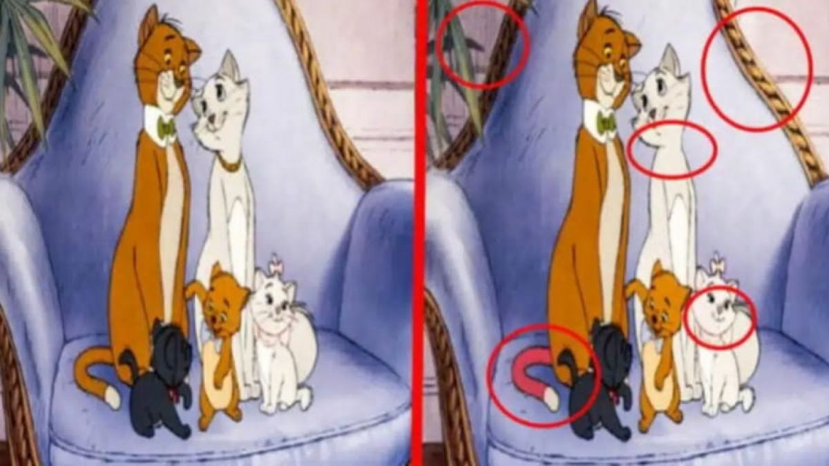 Ilustrasi tes IQ dan Visual [Legrisou.fr]