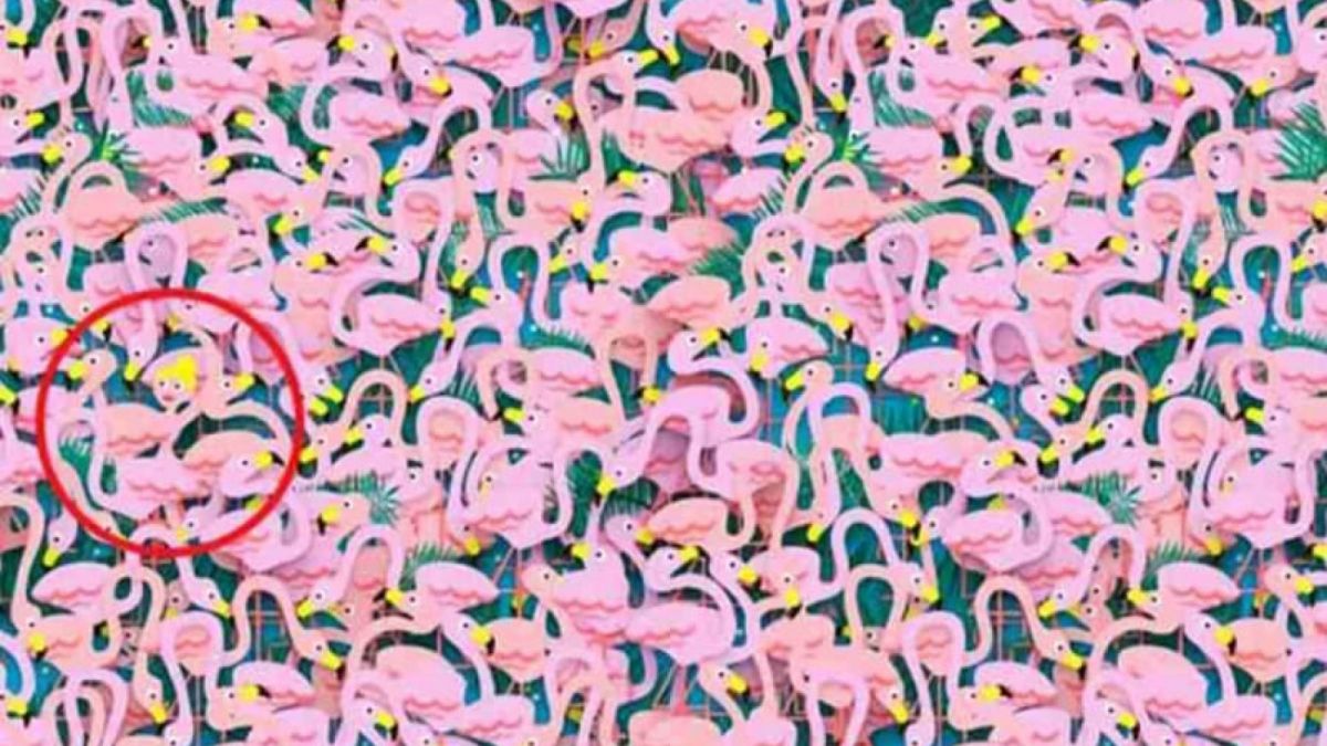 Ilustrasi tes IQ dan ilusi optik [Bright Side]