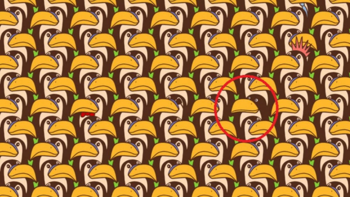 Ilustrasi tes IQ dan Visual [Educadoreslive.com]