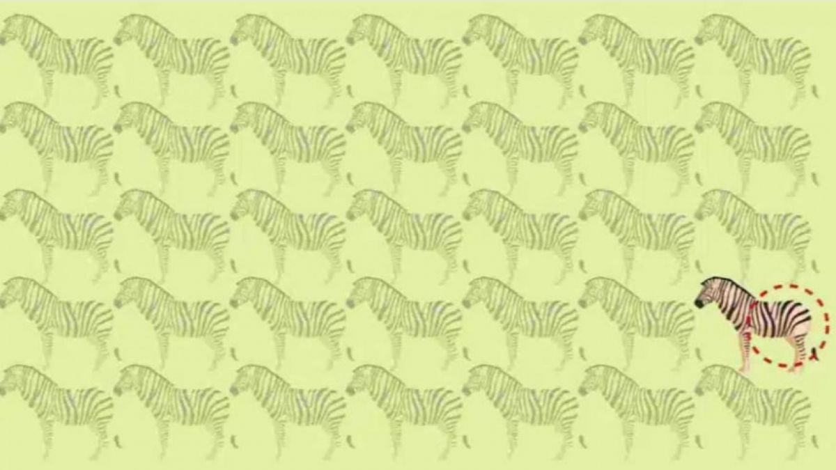 Ilustrasi tes IQ [educadoreslive.com]