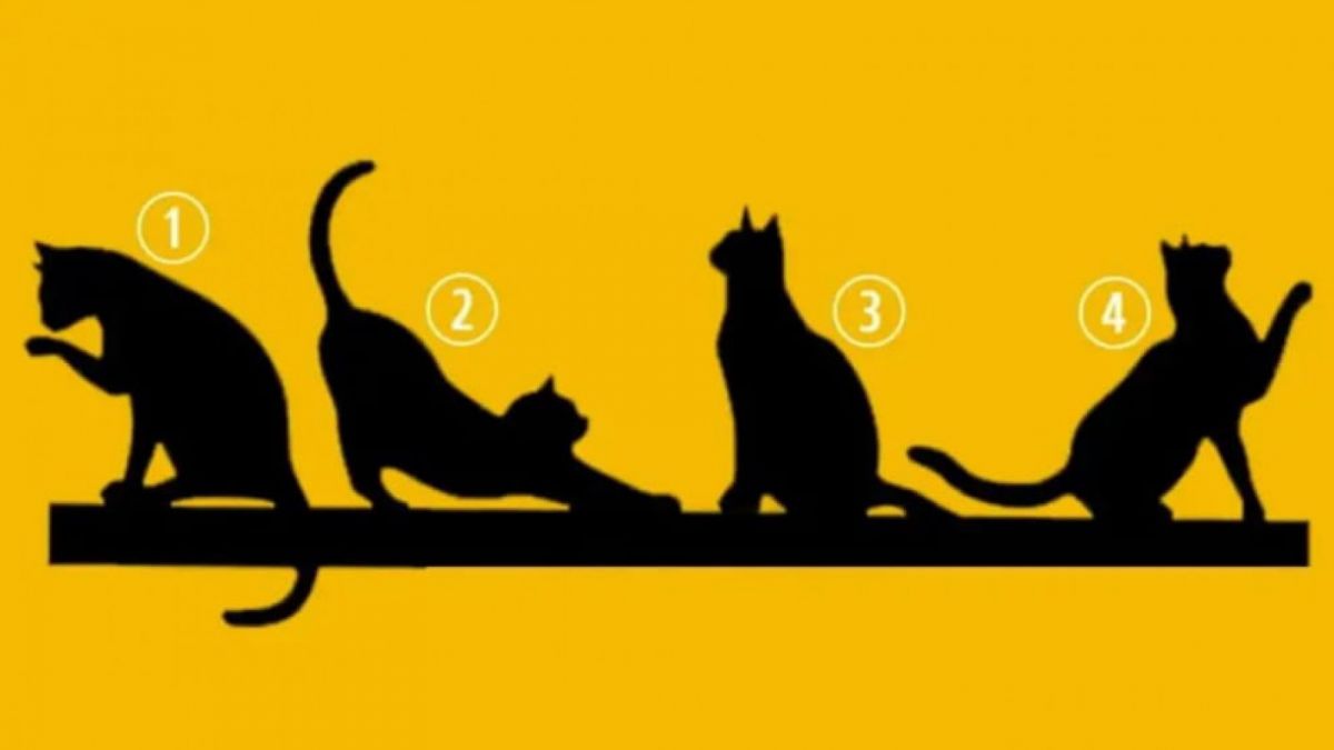 Ilustrasi tes kepribadian [Ilustrasi tes kepribadian]