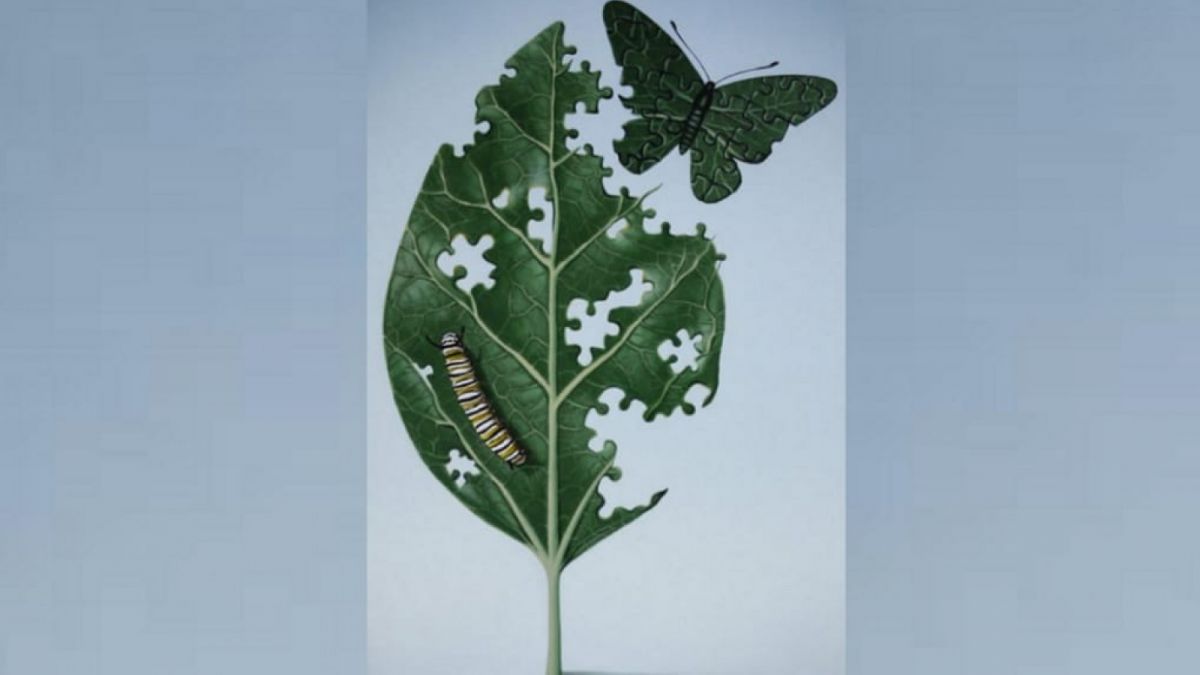 Ilustrasi tes kepribadian [Educadoreslive.com]