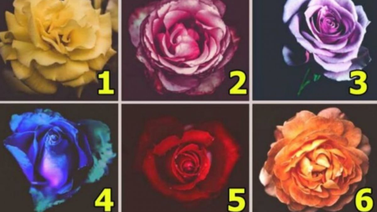 Ilustrasi tes kepribadian [Educadoreslive.com]