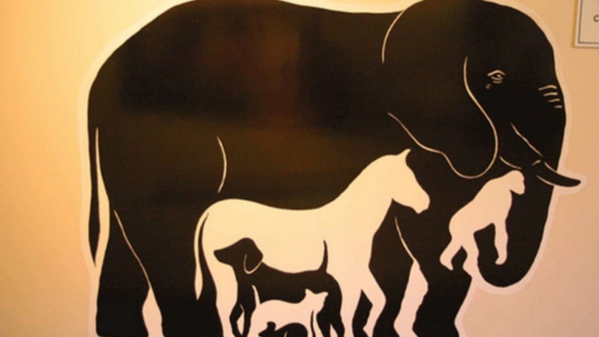 Ilustrasi tes kepribadian [Educadoreslive.com]