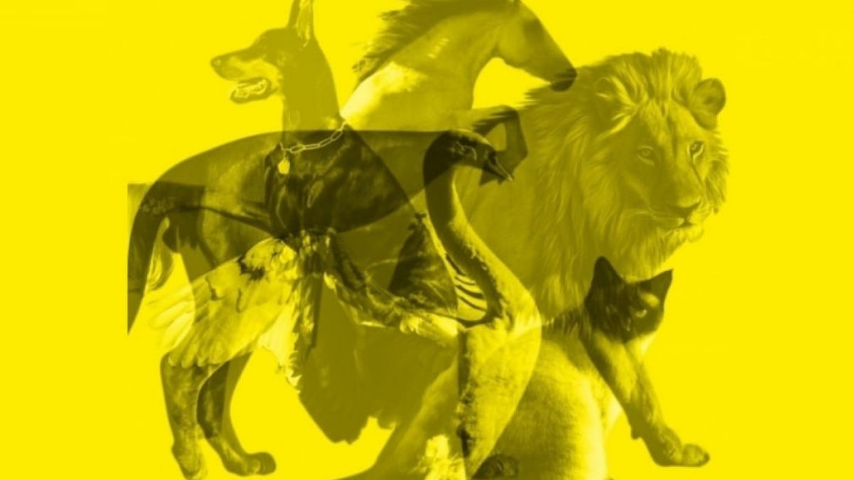 Ilustrasi tes kepribadian [Educadoreslive.com]