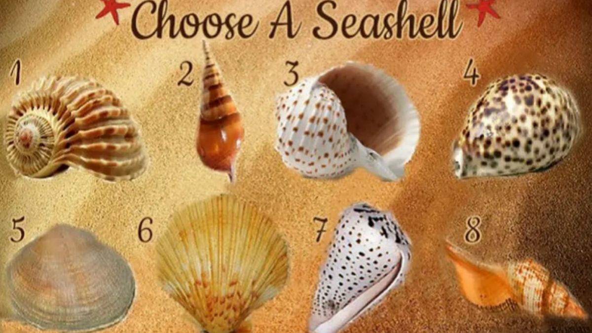 Ilustrasi tes kepribadian [Namastest.net]