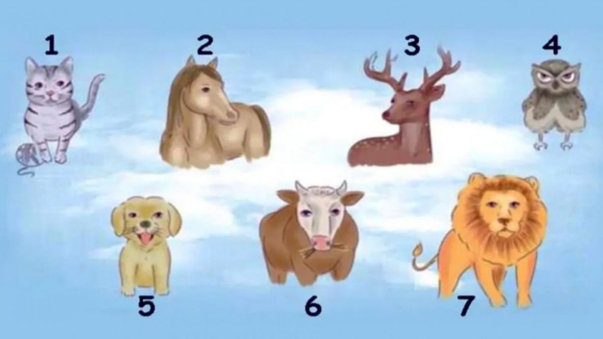 Ilustrasi tes kepribadian [Istimewa]