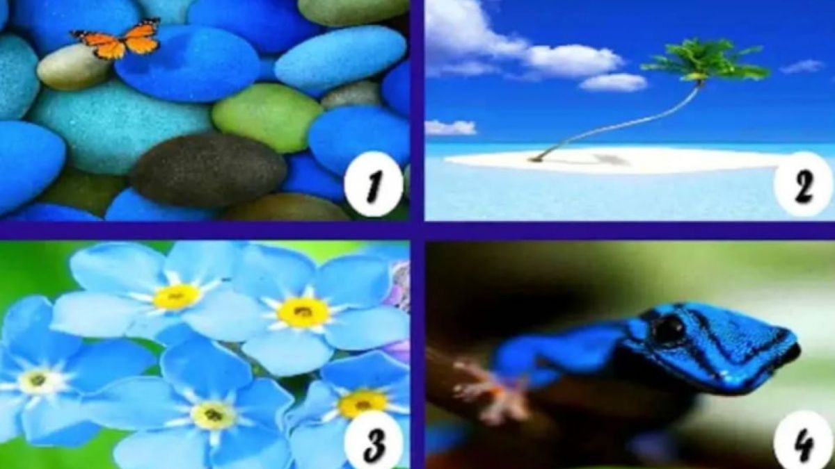 Gambar ilustrasi [Istimewa]