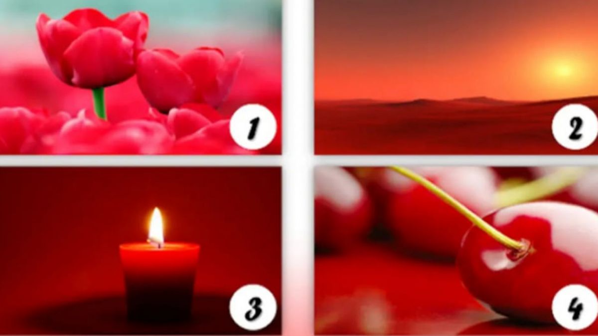 Ilustrasi tes kepribadian [Istimewa]