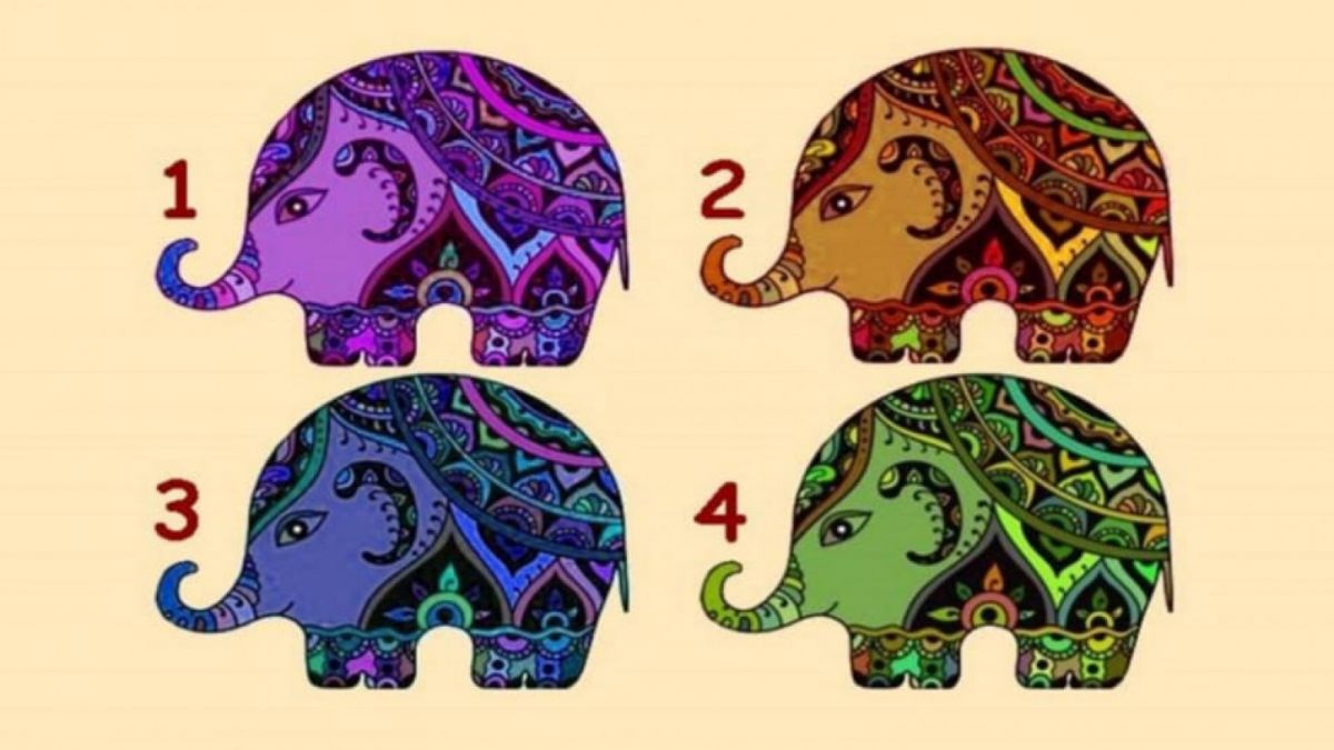 Depok.suara.com [Istimewa]