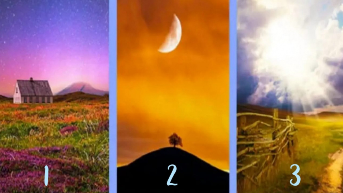 Ilustrasi tes kepribadian [Istimewa]