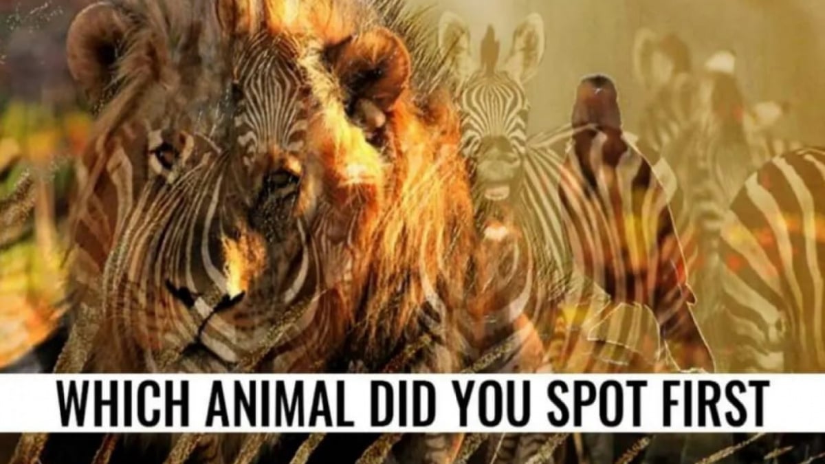 Ilustrasi tes kepribadian [Istimewa]