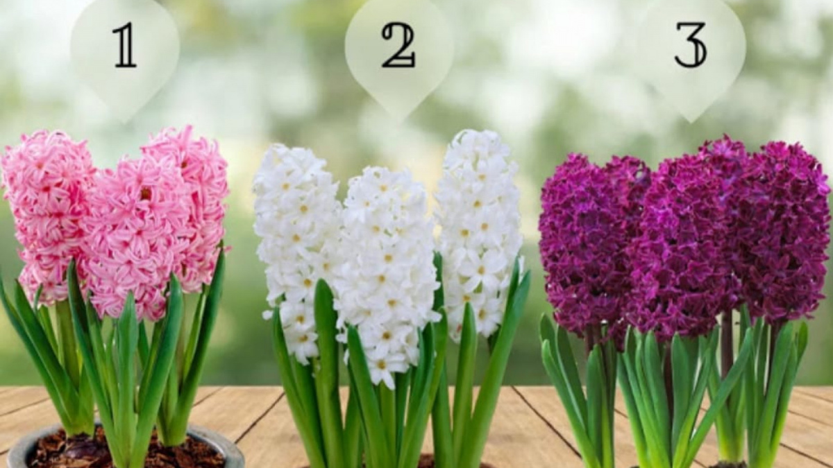  [Educadoreslive.com]