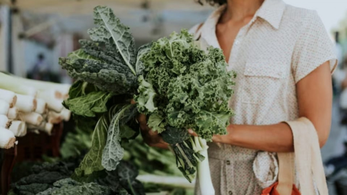 Gambar ilustrasi daun kale [Freepik]