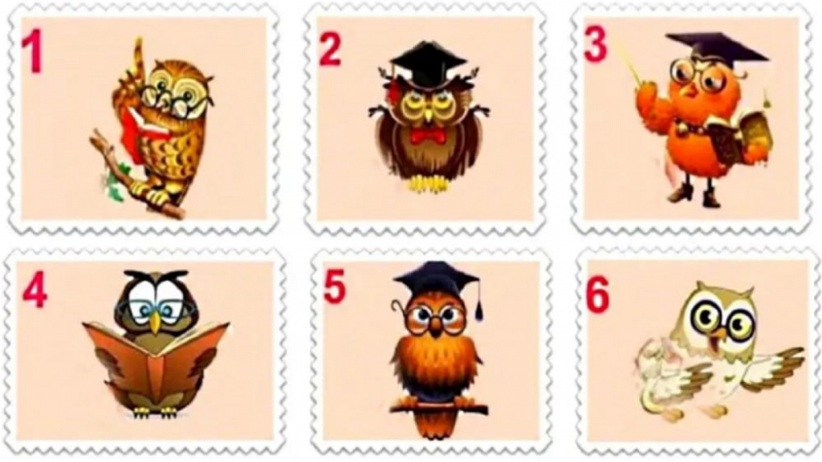 Ilustrasi tes kepribadian [Istimewa]