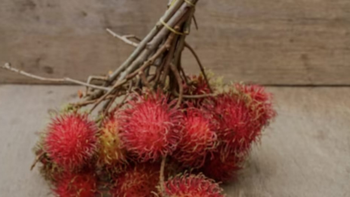 Gambar ilustrasi [Freepik]