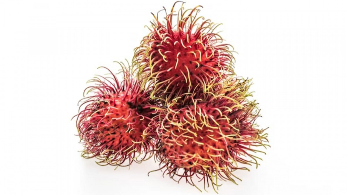 Gambar ilustrasi [Freepik]