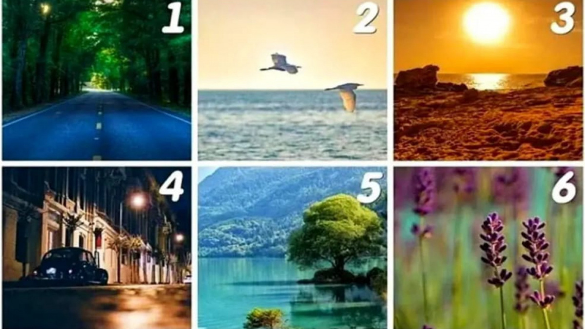 Ilustrasi tes kepribadian [Istimewa]