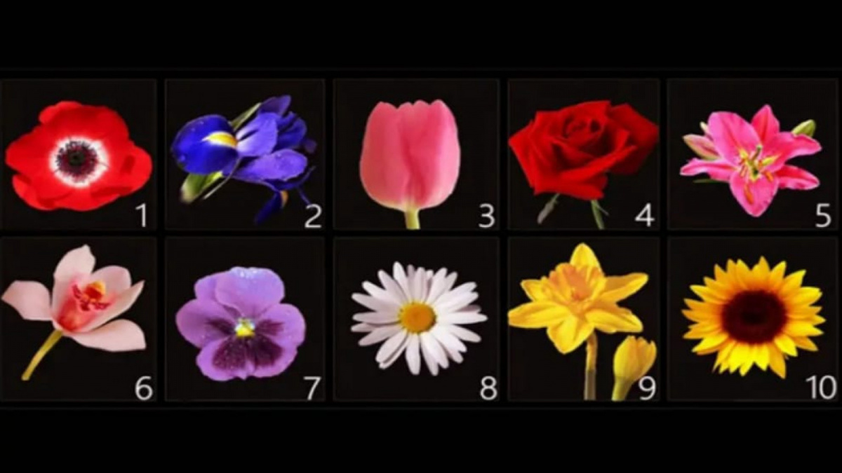 Ilustrasi tes kepribadian [Istimewa]