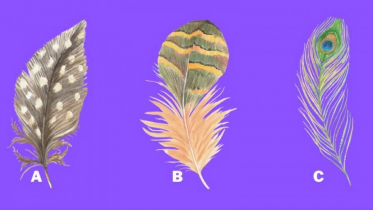 Ilustrasi tes kepribadian [Istimewa]