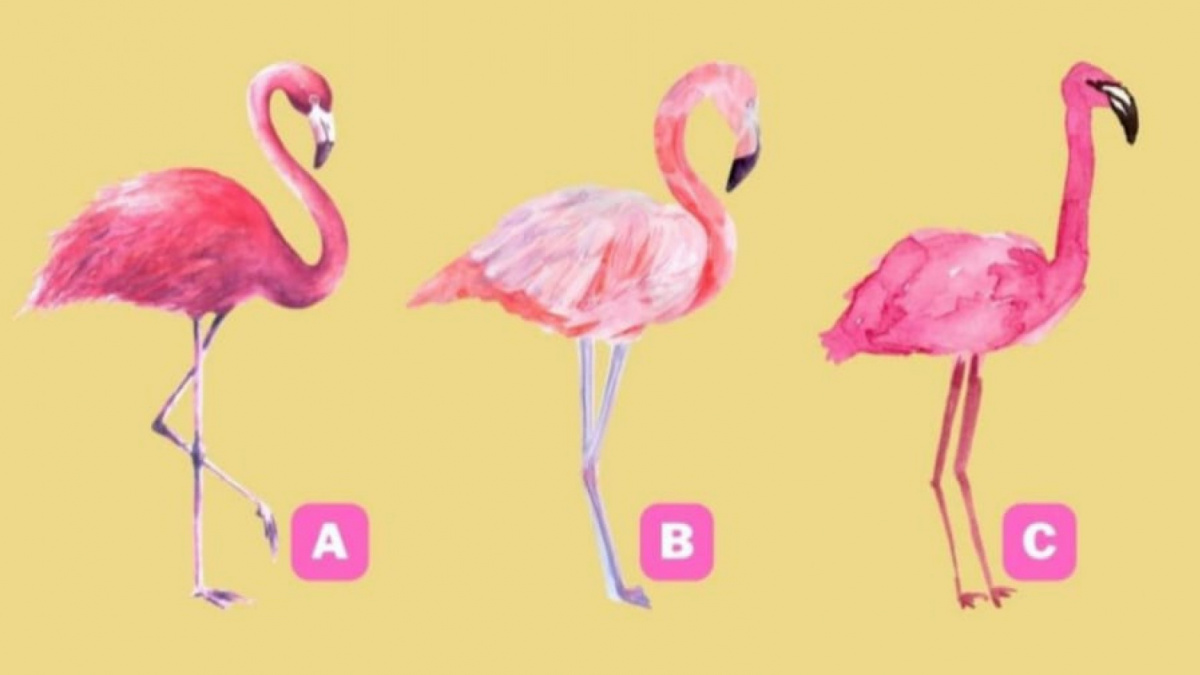 Ilustrasi tes kepribadian [Istimewa]